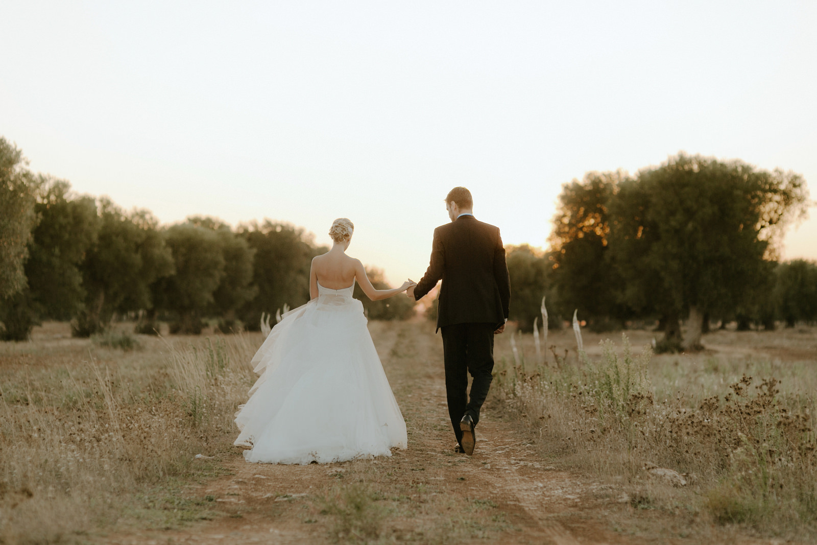 Bride and Groom in Olive Tree in Puglia